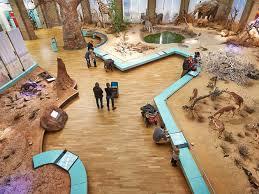 Musée Alexander Koenig